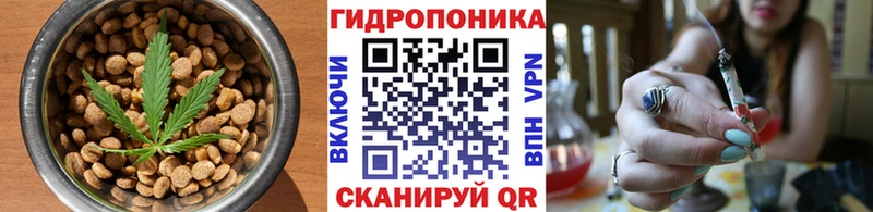 Cannafood марихуана  наркошоп  Злынка 