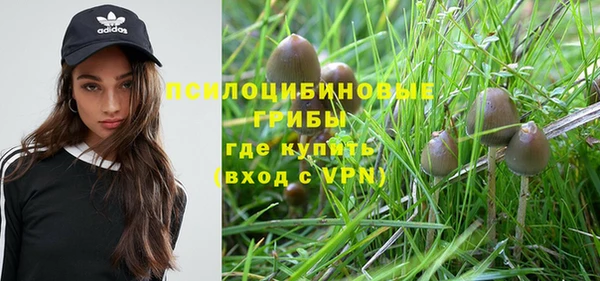 гидропоника Белокуриха