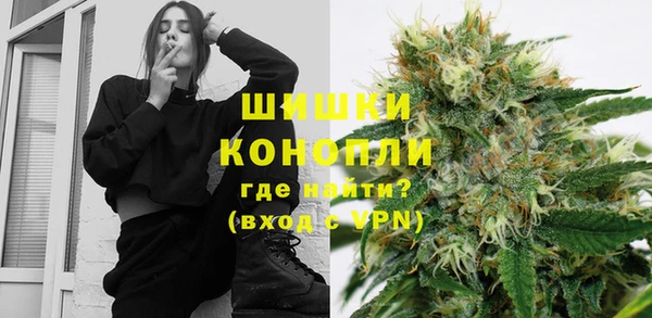 индика Медногорск