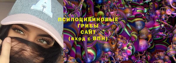 индика Медногорск