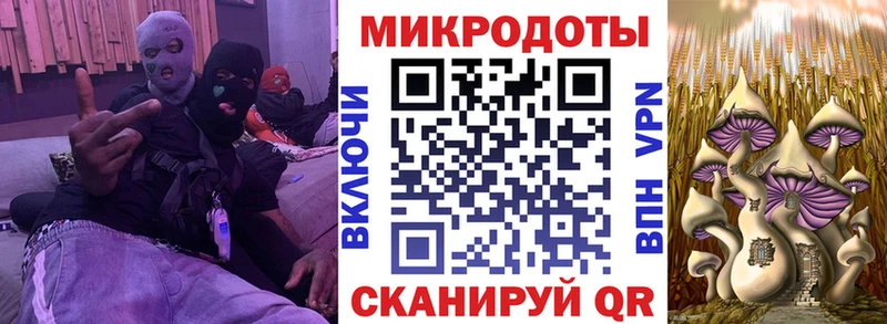Галлюциногенные грибы прущие грибы  Злынка 