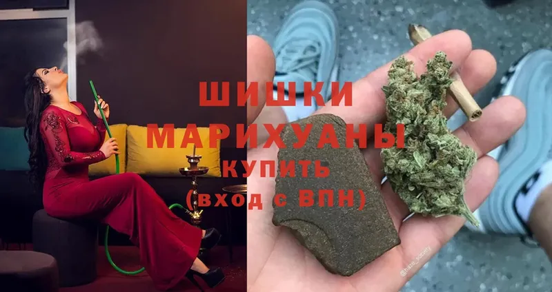 Бошки марихуана SATIVA & INDICA  дарнет шоп  Злынка 